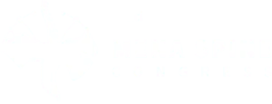 Mena Spine Logo 3rdpng